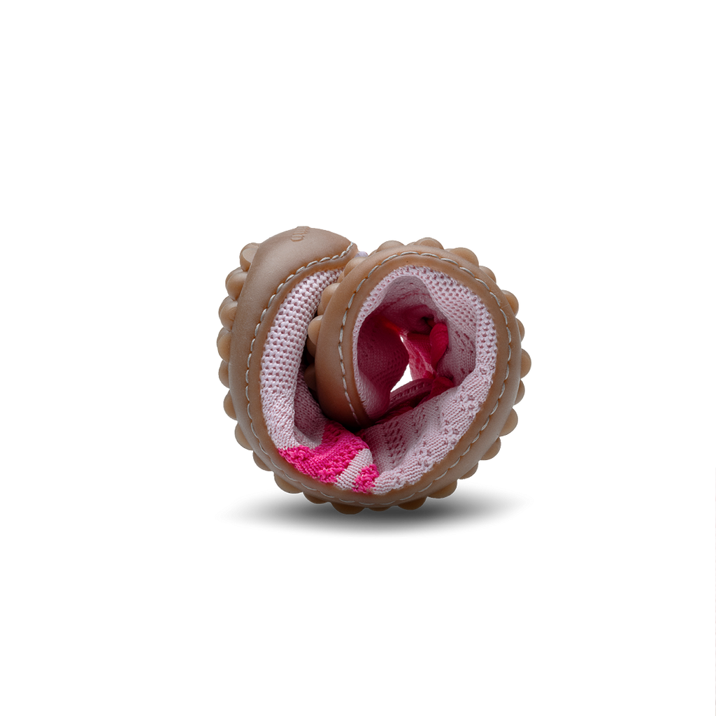 Leguano Caribeo Rose